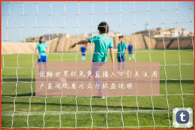 优酷世界杯免费直播入口引关注 用户查询观看方式与权益说明