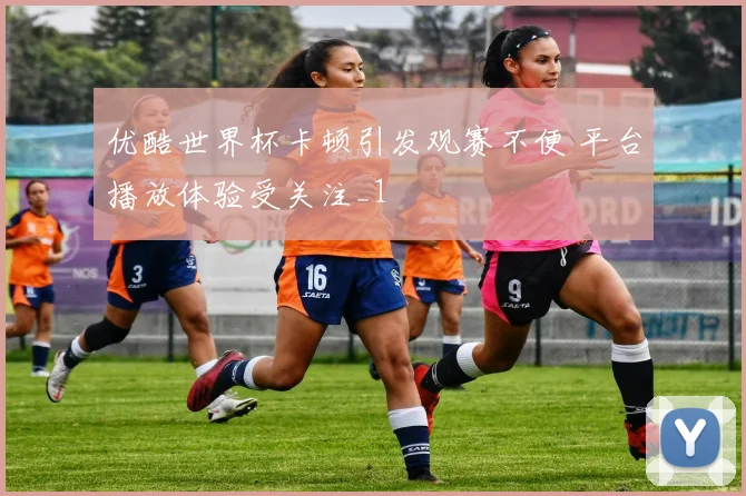 优酷世界杯卡顿引发观赛不便 平台播放体验受关注_1