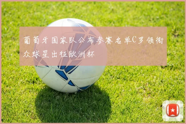 葡萄牙国家队公布参赛名单C罗领衔众球星出征欧洲杯