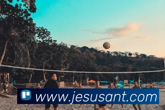 开云在线登录入口官网平台生态图