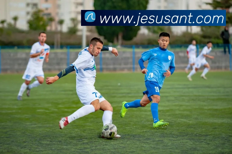 开云在线登录入口官网APP 封面图